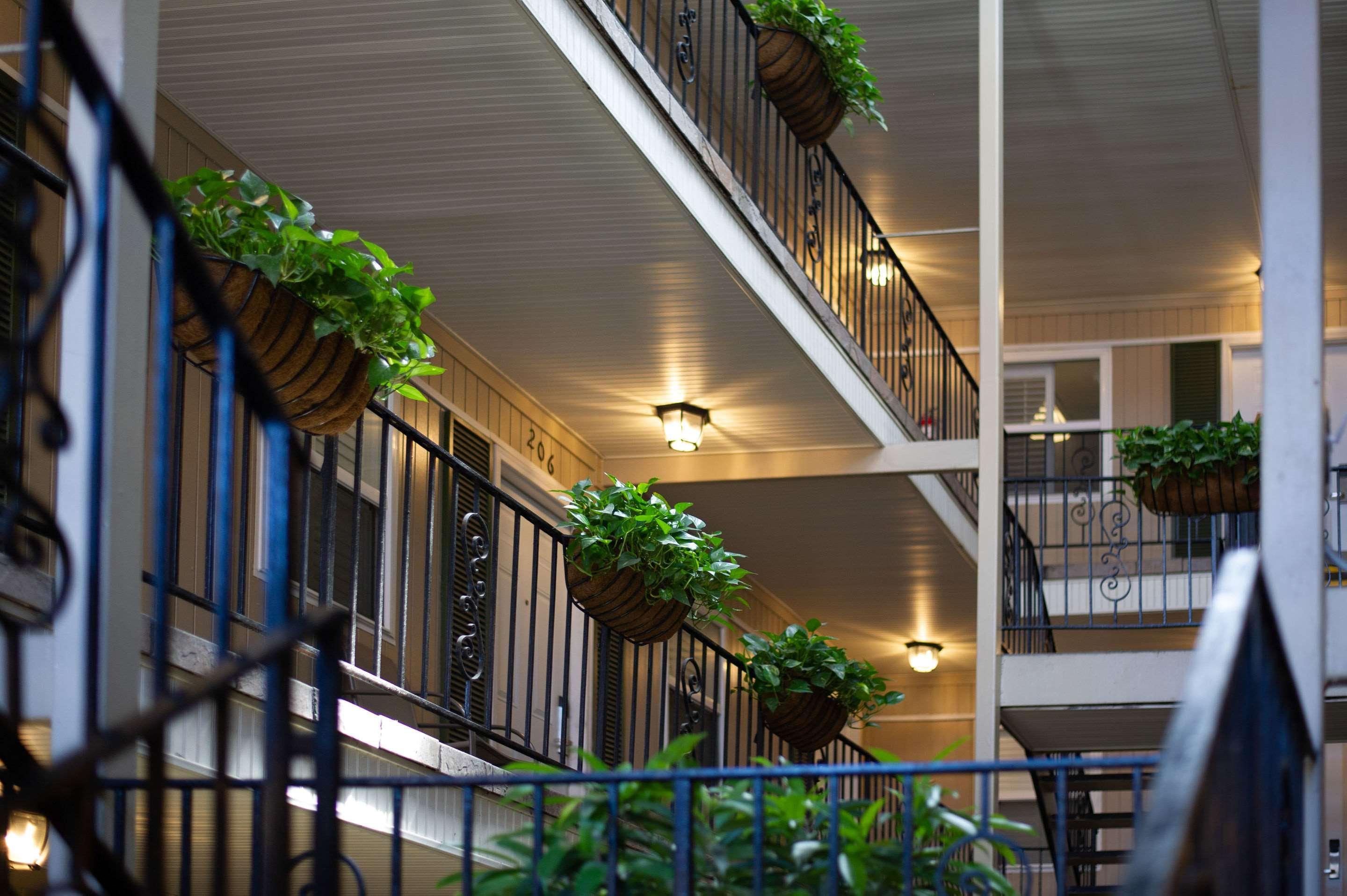 Frenchmen Orleans At 519, Ascend Hotel Collection ニューオーリンズ エクステリア 写真