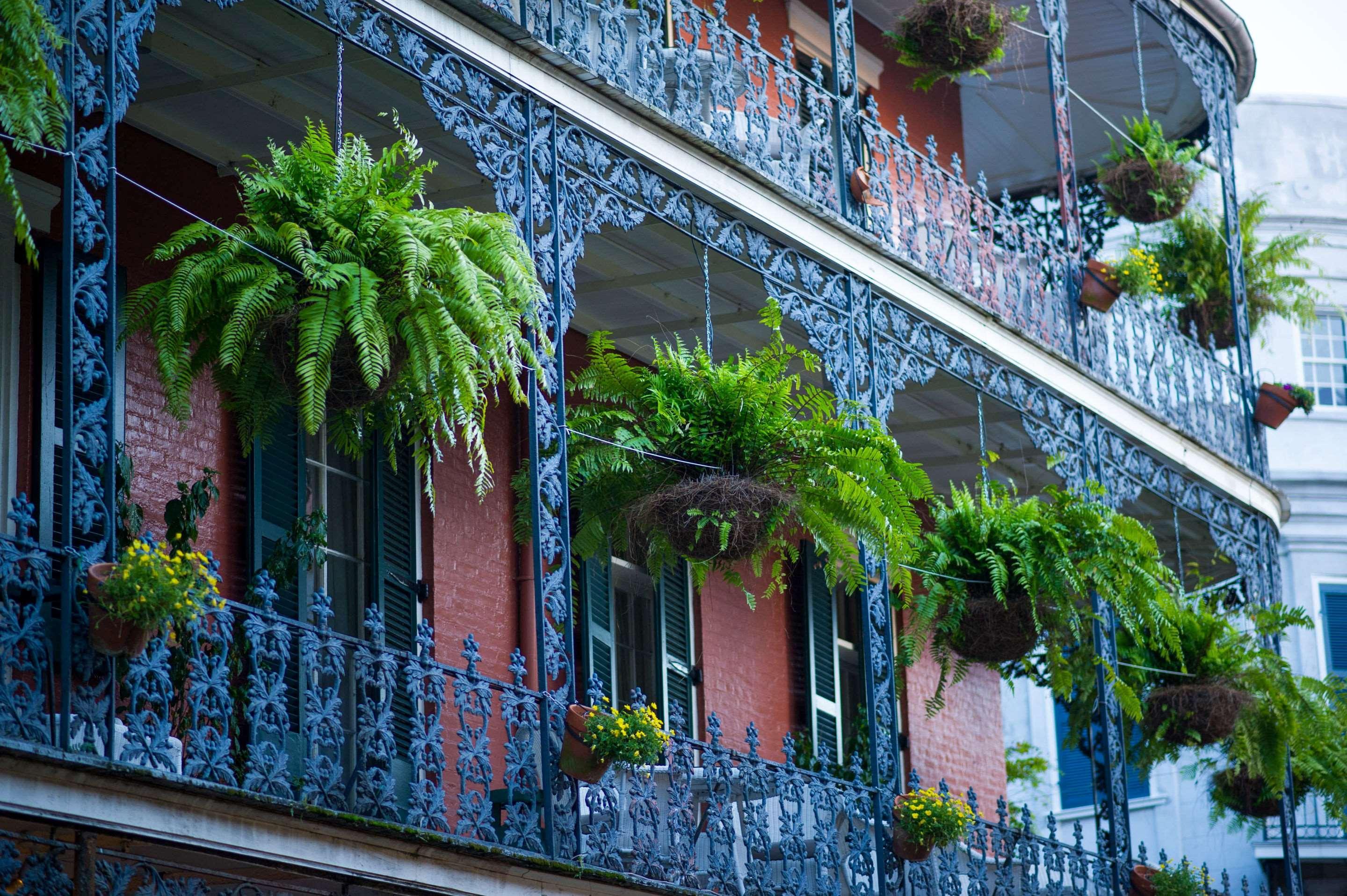 Frenchmen Orleans At 519, Ascend Hotel Collection ニューオーリンズ エクステリア 写真